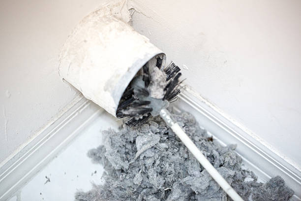 Best Dryer Vent Cleaning Services  in Robersonville, NC